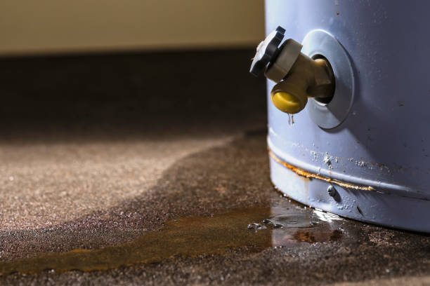 Best Water damage contractors near me  in Fircrest, WA