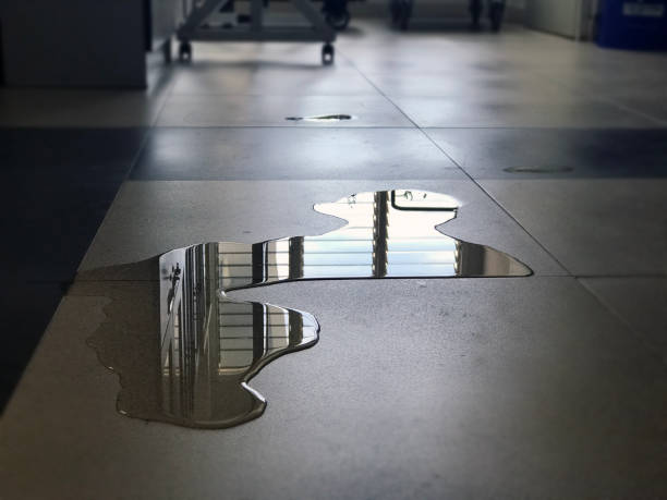 Best Water damage restoration services  in Fircrest, WA