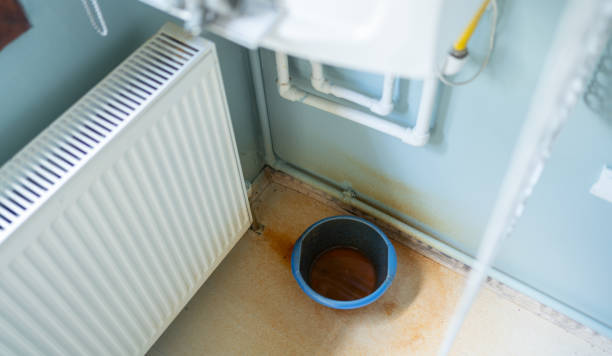 Best Water damage repair service  in Fircrest, WA
