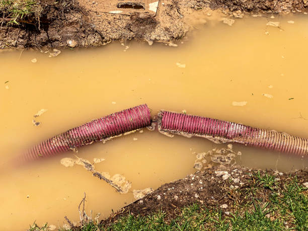 Best Water damage restoration near me  in Fircrest, WA