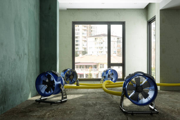 Best Carpet water damage restoration  in Fircrest, WA