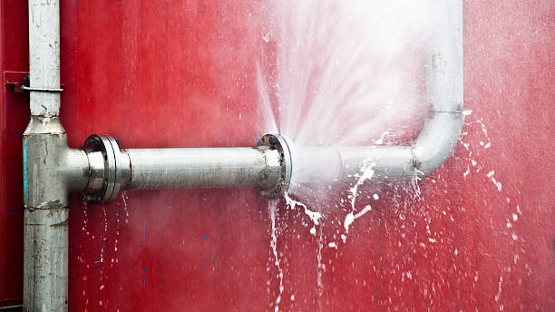 Best Water damage restoration near me  in Fircrest, WA